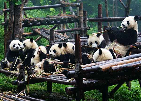 图三.jpg